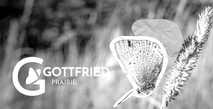 Gottfried Prairie rebranding