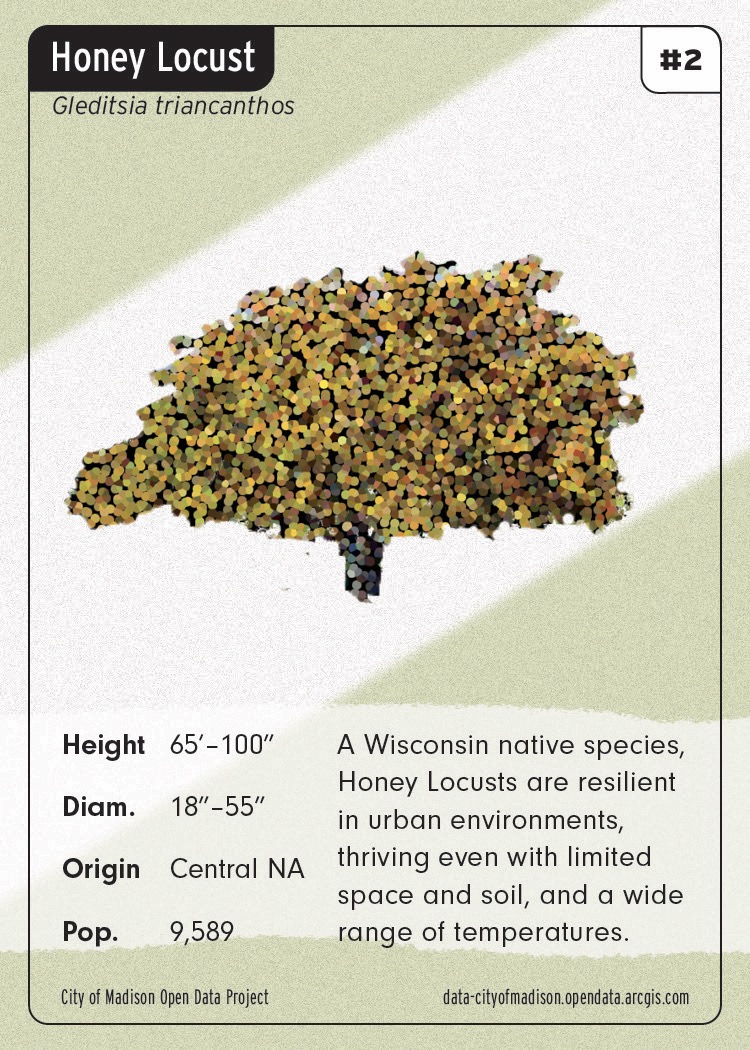 Madison Trees card