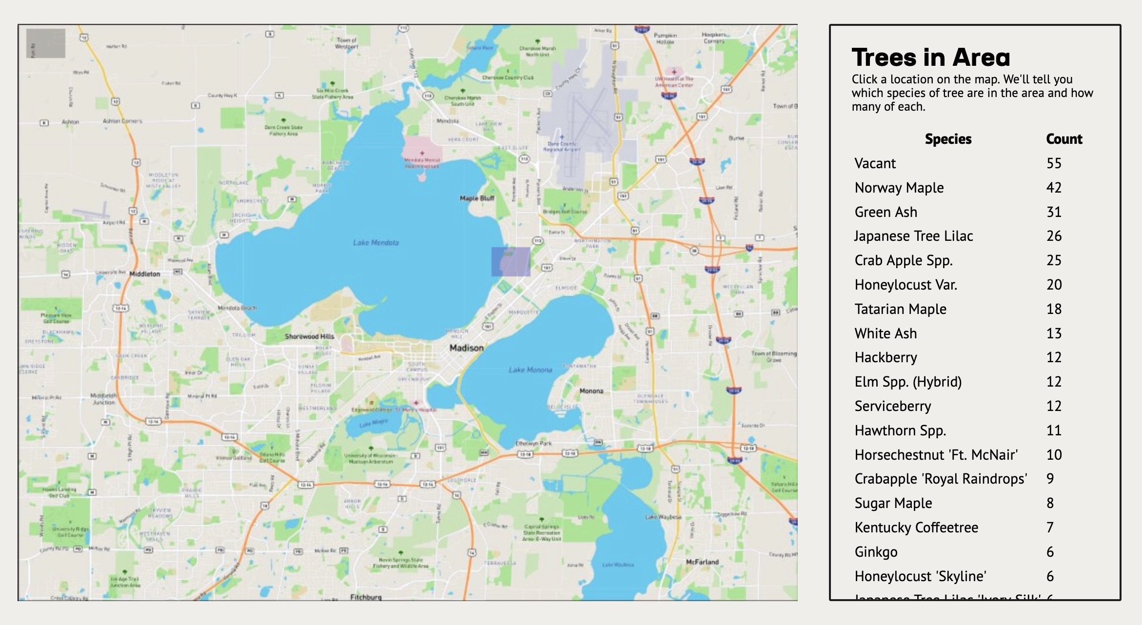 Screenshot of trees data visualization project